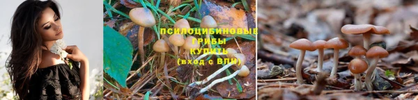 мескалин Бородино